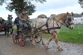 AIMG_4374